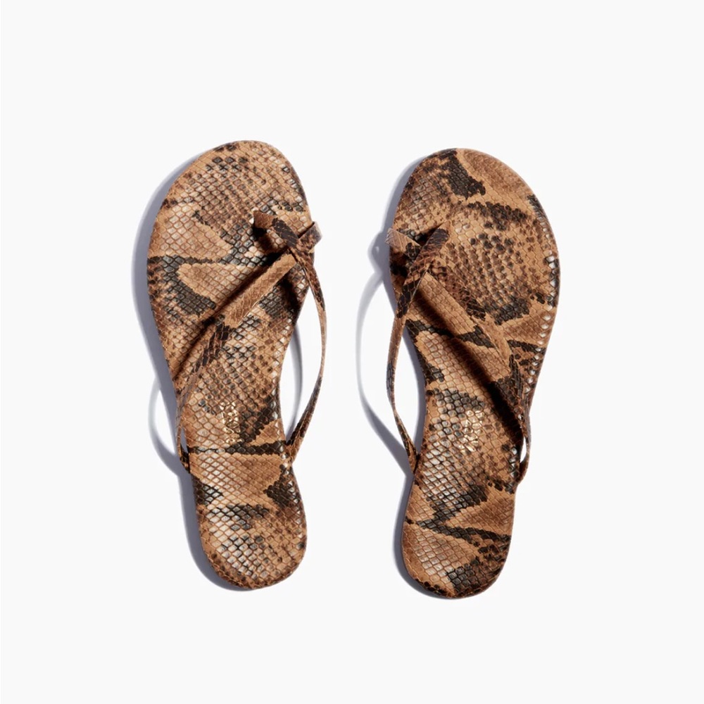 TKEES - Riley Coco Snake